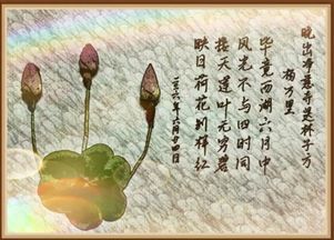 夏日炎熱的仿古詩(shī)句