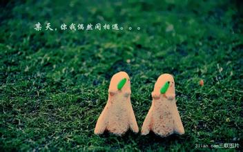 關(guān)于等待愛(ài)情的詩(shī)句