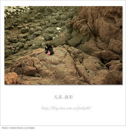 青島,名句,詩(shī)句