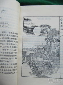 詩(shī)句,描寫(xiě),歲月