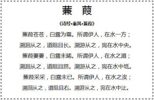詩(shī)句,前輩