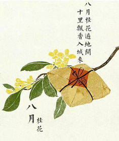 關(guān)于桂花雨的詩(shī)句古詩(shī),關(guān)于桂花雨的詩(shī)句有哪些,關(guān)于桂花雨的詩(shī)句,有十個(gè)