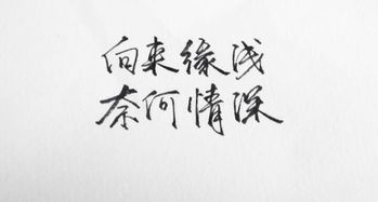關(guān)于緣詩(shī)句,緣的詩(shī)句,與緣有關(guān)的詩(shī)句