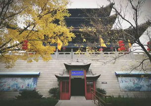 秋日思鄉的詩(shī)句古詩(shī),思鄉的詩(shī)句古詩(shī),中秋思鄉的詩(shī)句古詩(shī)