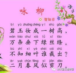 詩(shī)句,小孩,聰明