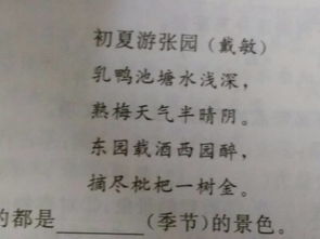 古詩(shī)中寫(xiě)色的詩(shī)句