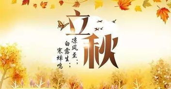 關(guān)于立秋日的詩(shī)句
