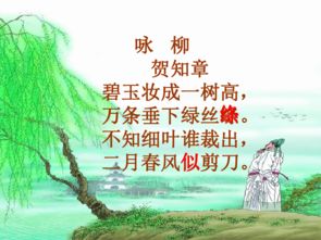 古詩(shī)詠柳及詩(shī)句意思