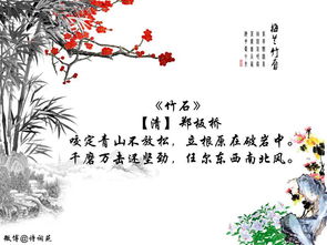 古詩(shī)詞里有花的詩(shī)句