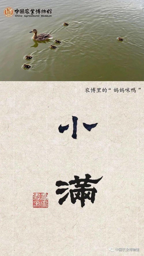 小滿(mǎn),古詩(shī),詩(shī)句