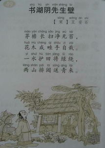 古詩(shī)書(shū)湖陰先生壁的詩(shī)句