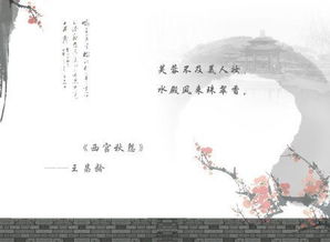 詩(shī)句,小花,贊美
