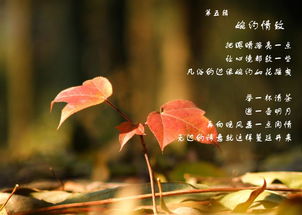 詩(shī)句,陽(yáng)光