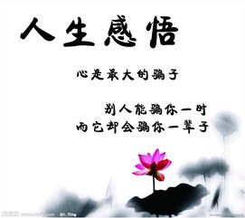 感嘆兒子長(cháng)大的古詩(shī)句