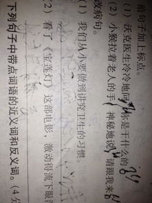 古詩(shī)中帶有桃子的詩(shī)句