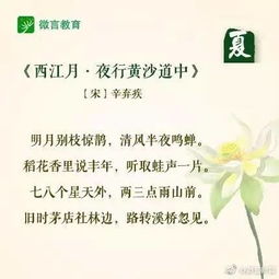 寫(xiě)一句關(guān)于夏天的古詩(shī)句