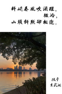 關(guān)于長(cháng)安春天贊美花的詩(shī)句古詩(shī)
