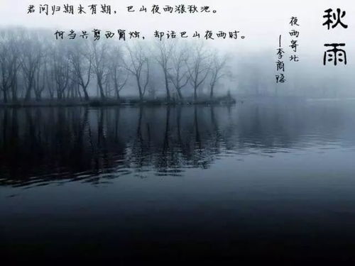 古詩(shī)中包含鄉愁的詩(shī)句