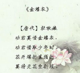 來(lái)來(lái)往往的古詩(shī)句