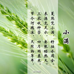 小滿(mǎn)古詩(shī)句
