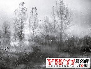 關(guān)于雨下的打大的詩(shī)句