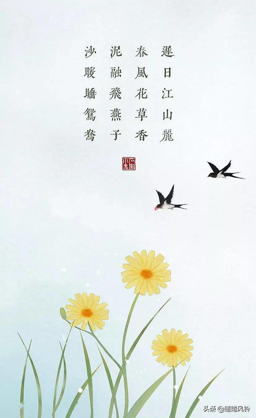 春天下雨的詩(shī)句古詩(shī)