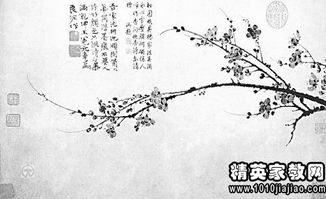 夸梅花的古詩(shī)句