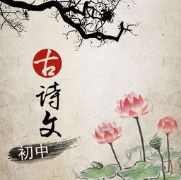 古詩(shī),詩(shī)句,初中