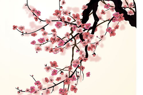 梅花春的詩(shī)句古詩(shī)
