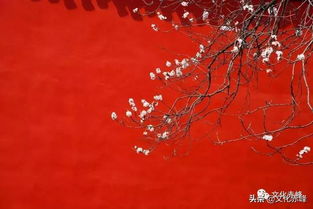 關(guān)于春天的詩(shī)句及意譯