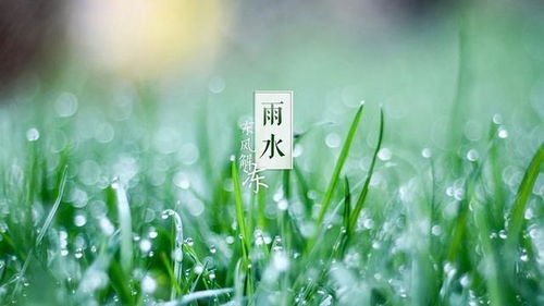 有關(guān)雨詩(shī)句古詩(shī)