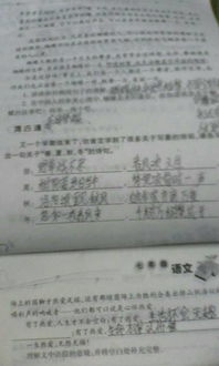 夏季的古詩(shī)句不少于三句