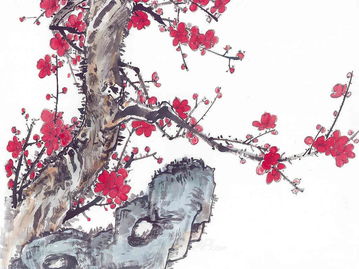 有關(guān)梅花的詩(shī)句古詩(shī),寫(xiě)關(guān)于梅花的詩(shī)句古詩(shī),歌頌梅花的詩(shī)句古詩(shī)