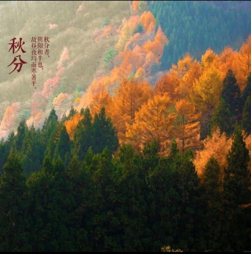 詩(shī)句,二十四,秋風(fēng)