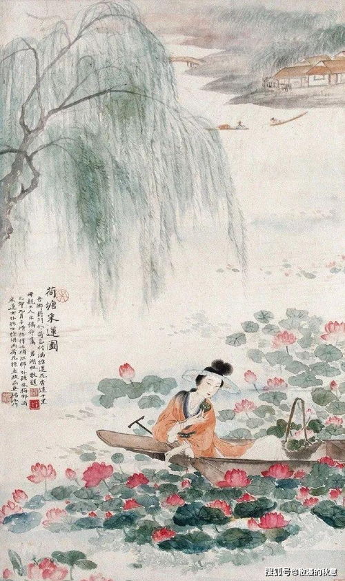 描寫(xiě)芙蓉的詩(shī)句古詩(shī)