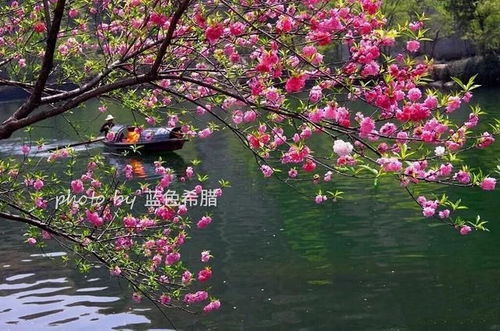 詠柳描寫(xiě)春天的詩(shī)句是什么,描寫(xiě)春天的詩(shī)句是什么請告訴我,春曉描寫(xiě)春天的詩(shī)句是什么