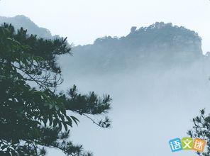 詩(shī)句,資料