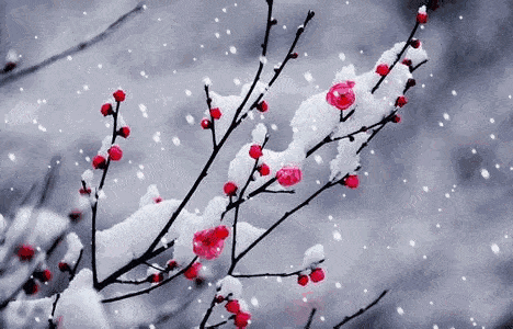 關(guān)于雪和溪的詩(shī)句
