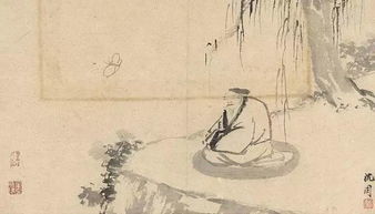 關(guān)于夢(mèng)蝶的詩(shī)句古詩(shī),有關(guān)夢(mèng)蝶的唯美詩(shī)句,莊周夢(mèng)蝶詩(shī)句