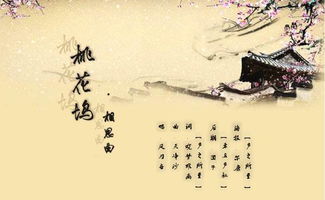 關(guān)于孤獨的詩(shī)句,關(guān)于孤獨的詩(shī)句古詩(shī),關(guān)于孤的詩(shī)句五個(gè)字