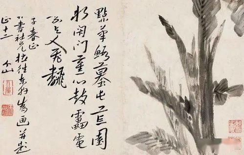 積累寫(xiě)山水花鳥(niǎo)的完整古詩(shī)句六句