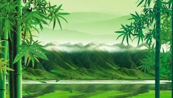 關(guān)于冬天的竹子的詩(shī)句古詩(shī)
