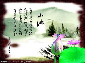 關(guān)于夏天要結束的詩(shī)句