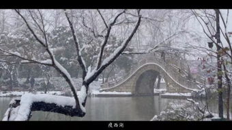 古詩(shī)中帶揚州雪的詩(shī)句