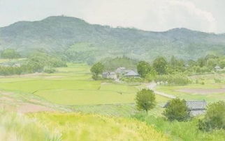 長(cháng)江風(fēng)箏的詩(shī)句古詩(shī)詞