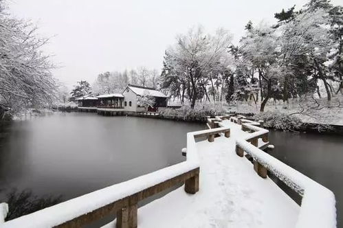 關(guān)于蘇大的詩(shī)句