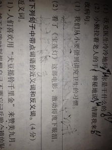 關(guān)于桃的詩(shī)句古詩(shī)大全