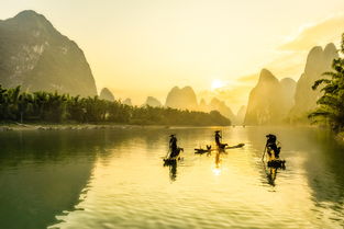 含有桑樹(shù)的詩(shī)句古詩(shī)