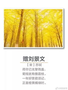 名句,古詩(shī),詩(shī)句,豐收