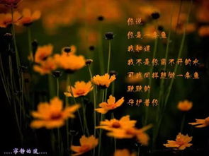 徐志摩關(guān)于海菜花的詩(shī)句